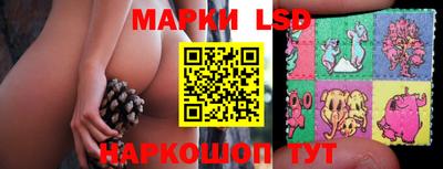 индика Аргун