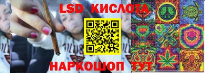 тгк Канаш