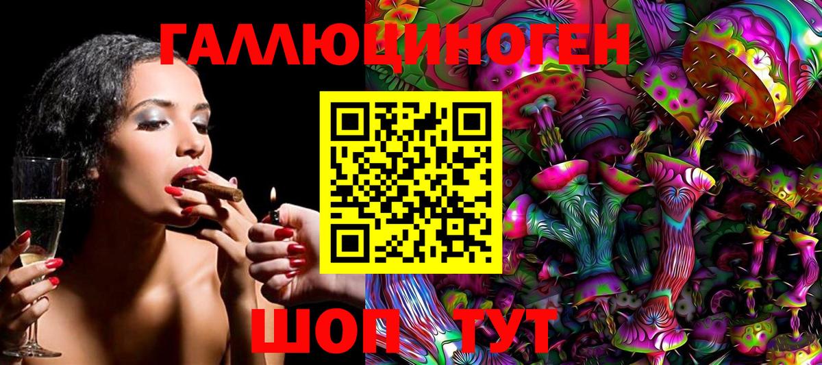 Галлюциногенные грибы Psilocybine cubensis Кунгур